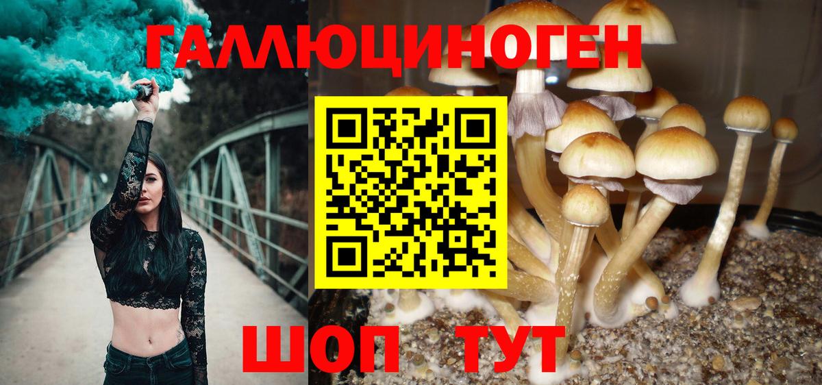 Галлюциногенные грибы MAGIC MUSHROOMS Фролово